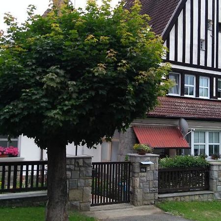 Apartamento Byt - Apartman Větřní Exterior foto
